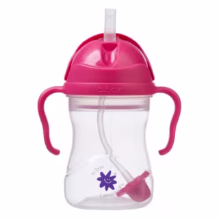 Lansinoh b.box Weighted Straw Sippy Cup