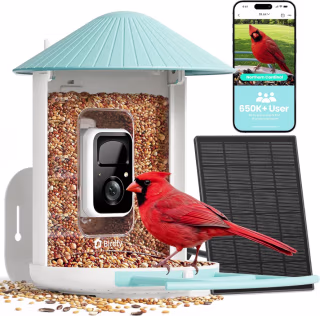 Netvue by Birdfy Smart Bird Feeder