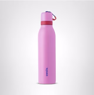 Owala FreeSip Insulated Stainless Steel Water Bottle 