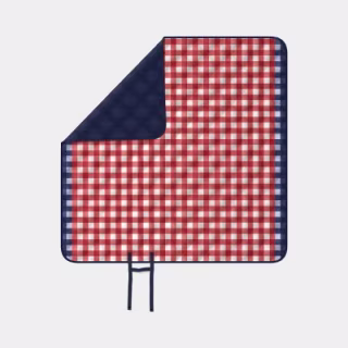 Room Essentials Gingham Portable Picnic Blanket