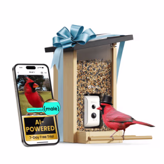 Birdfy Smart Bird Feeder