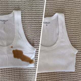 Puracy Stain Remover