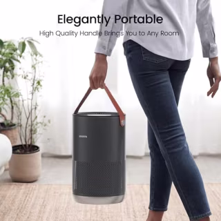 Smartmi Air Purifier P1