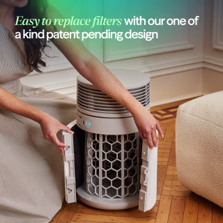 BlueAir Blue Signature™ Medium Air Purifier