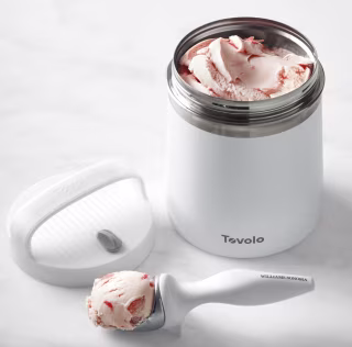 Tovolo Stainless-Steel Ice Cream Storage Container & Williams Sonoma Tilt Up Scoop
