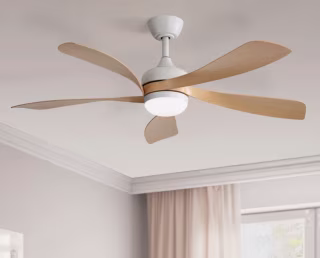 Damecia Modern ceiling fan