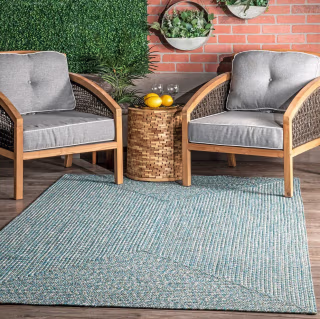 Nuloom Wynn Braided Indoor/Outdoor Area Rug