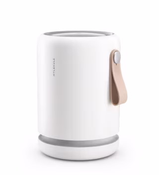 Molekule Air Mini+