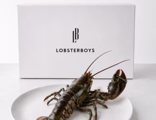 Lobsterboys