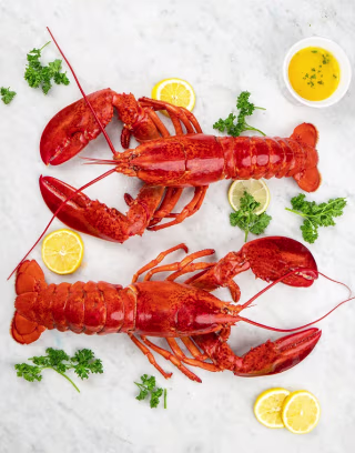 Lobsterboys