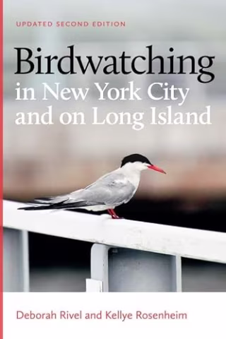 "Birdwatching in New York City and on Long Island" Second Edition by Deborah Rivel, Kellye Rosenheim