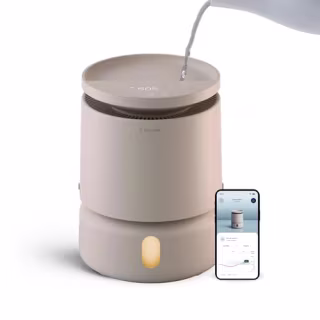 Blueair DreamWell H38i Humidifier