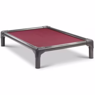 Kuranda Chew-Proof Elevated Dog Bed
