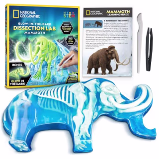 National Geographic Mammoth Dissection Kit and Anatomy Lab for Kids
