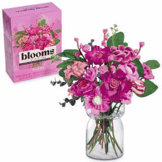 Play-Doh Blooms Blush Flower Bouquet Making Kit