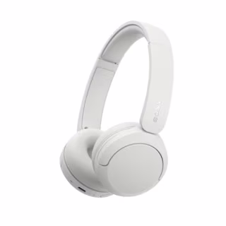 Sony WH-CH530 Wireless Headphones with Microphone