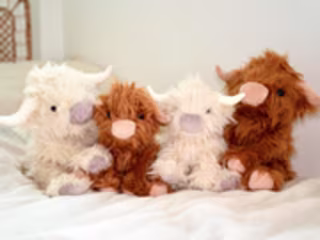 Hugs Mini Scottie the Highland Cow