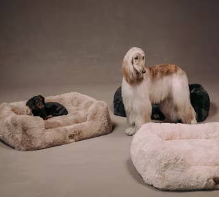 The Lola Pet Bed