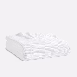 Deal of the Day