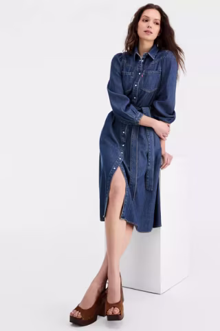 Levi's Premium Women's Point Collar Long-Sleeve Dress