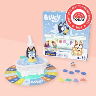 Bluey Splash Time Game