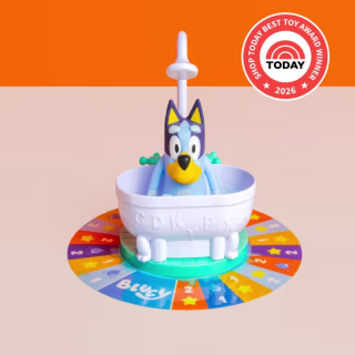 Bluey Splash Time Game