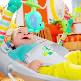 Bright Starts Playful Paradise Vibrating Baby Bouncer