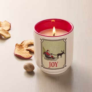 Hearth & Hand with Magnolia Ceramic Scented Jar Candle