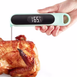 Dash Quick-Read Meat Thermometer