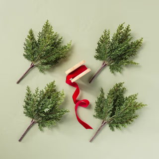 Hearth & Hand with Magnolia Cedar Christmas Gift Toppers with Ribbon Spool (4 Count)
