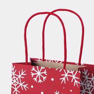 Wondershop Christmas Extra Small Gift Bags (10 Count)