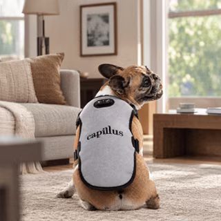 Capillus Pet Vest