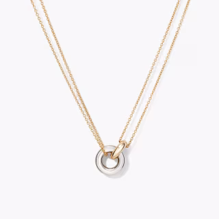 Mejuri Linked Two-Tone Necklace