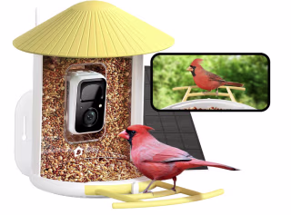 Birdfy Smart Bird Feeder