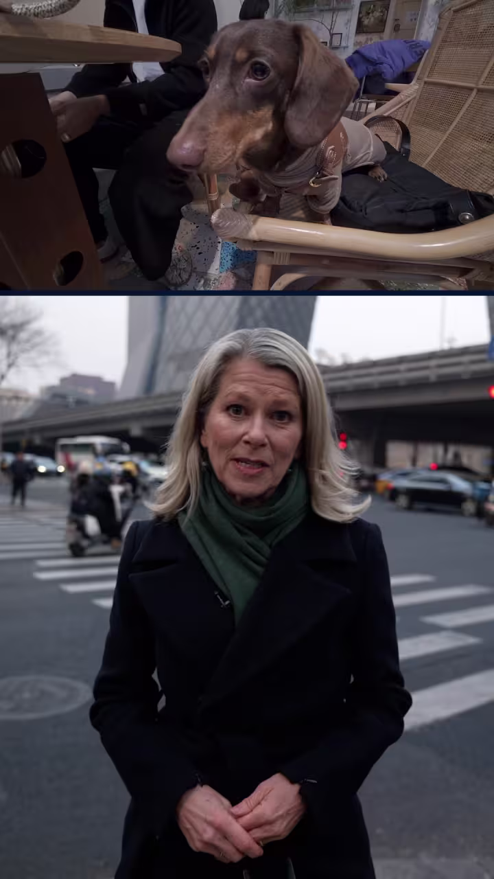 Why people in China are choosing pets over parenthood