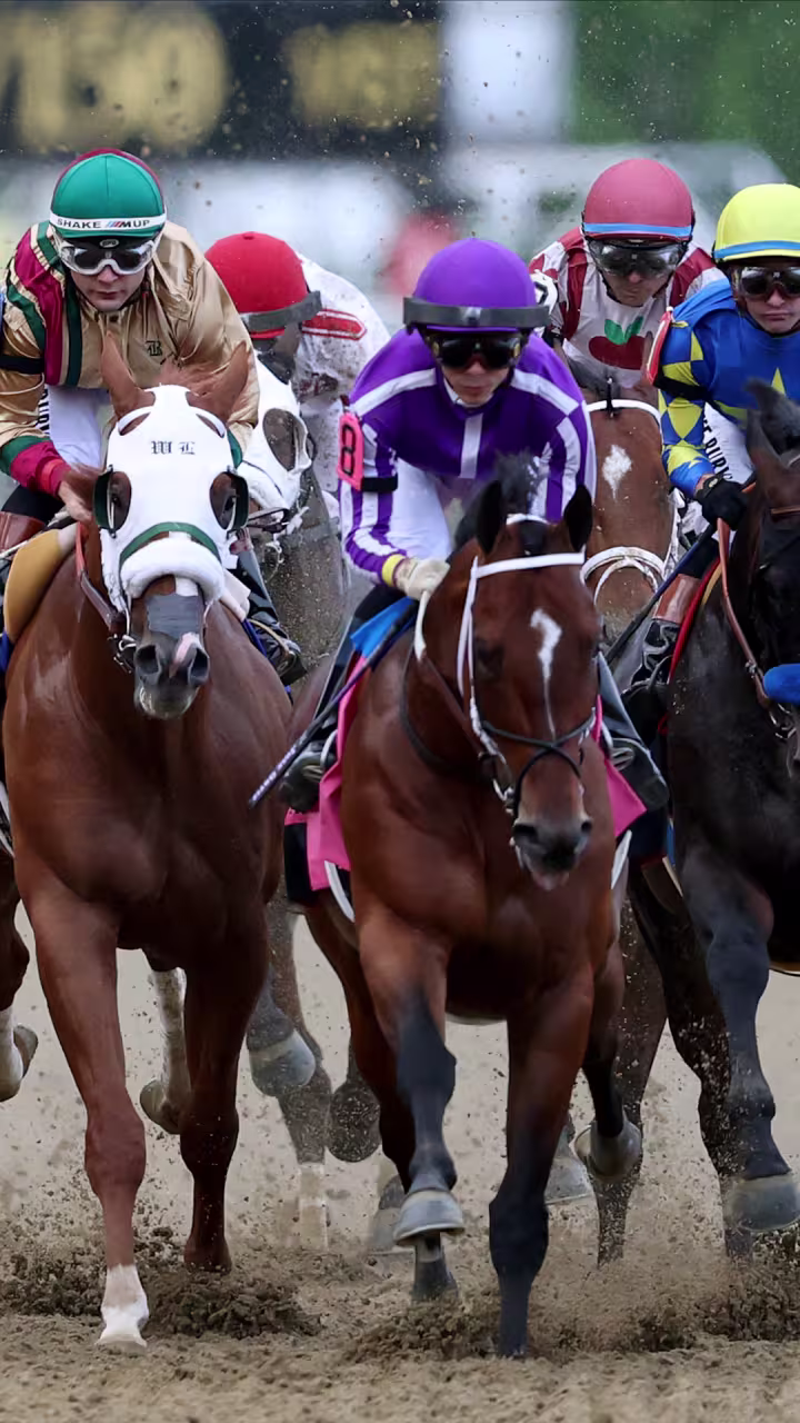 Why this year's Preakness Stakes has no clear favorite