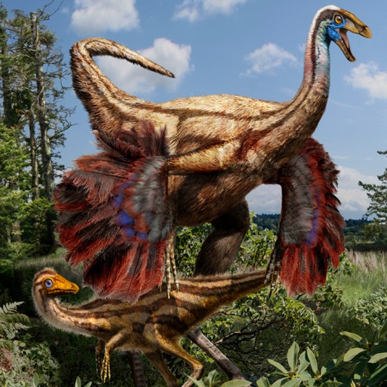 Image: Artistic reconstruction of a feathered ornithomimid