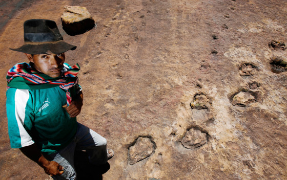 Image: Bolivian farmer Rivera stands amidst dinosaur footprints