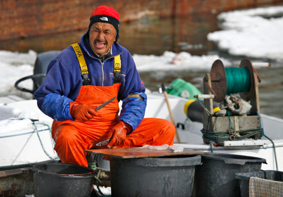 Image: A fisherman cuts bait in the town of Ilulissat in western Greenland