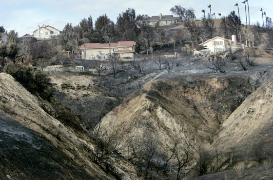 California News - November 25, 2008