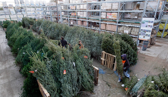 Image: Christmas trees