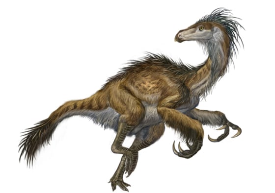 Image: Feathered dinosaur