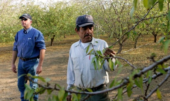 Image: Shawn Coburn, Juan Guadian