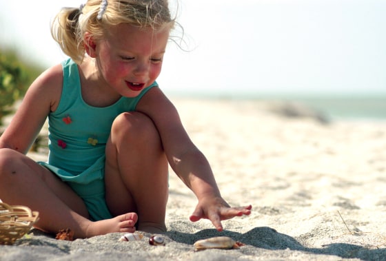 Image: Sanibel Island