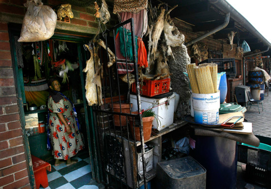 Image: Traditional healer