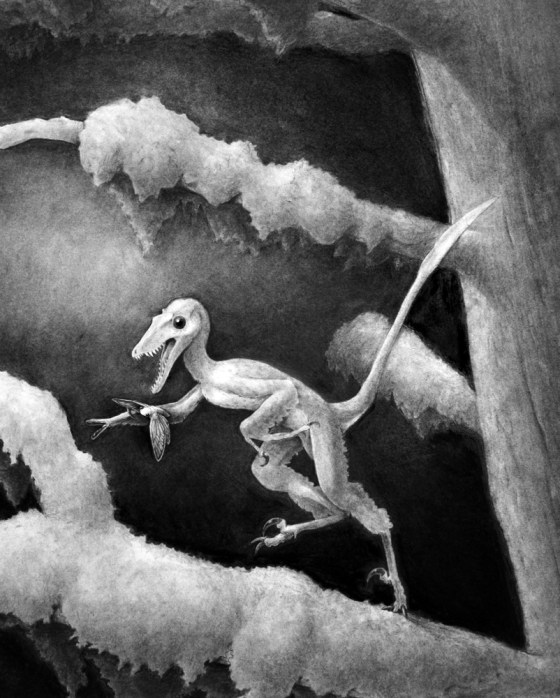 Image: Drawing of a Hesperonychus elizabethae