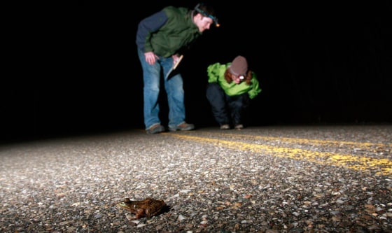 Image: Martin Lee, left, and Tori Cleiland check the roadway in New Haven, Vt.