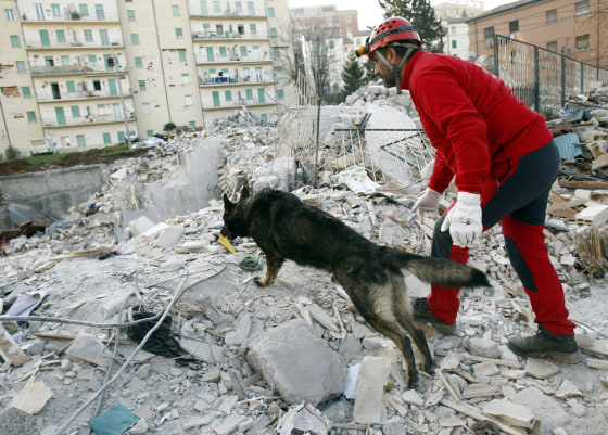 Image: A member of a Spanish rescue team and a dog search through rubble in L'Aquila