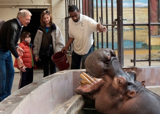 Happy the hippo won't be going solo much longer: He's headed for the Milwaukee County Zoo this summer.