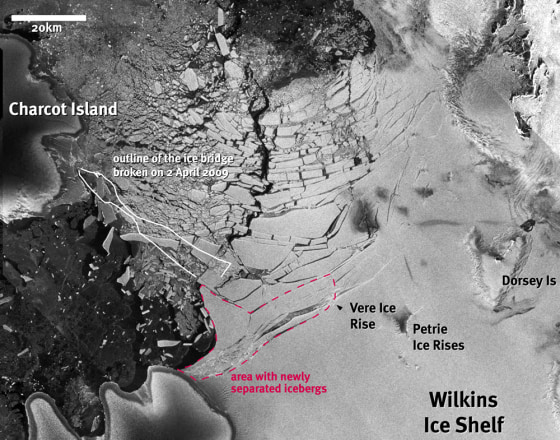 Image: Wilkins Ice Shelf